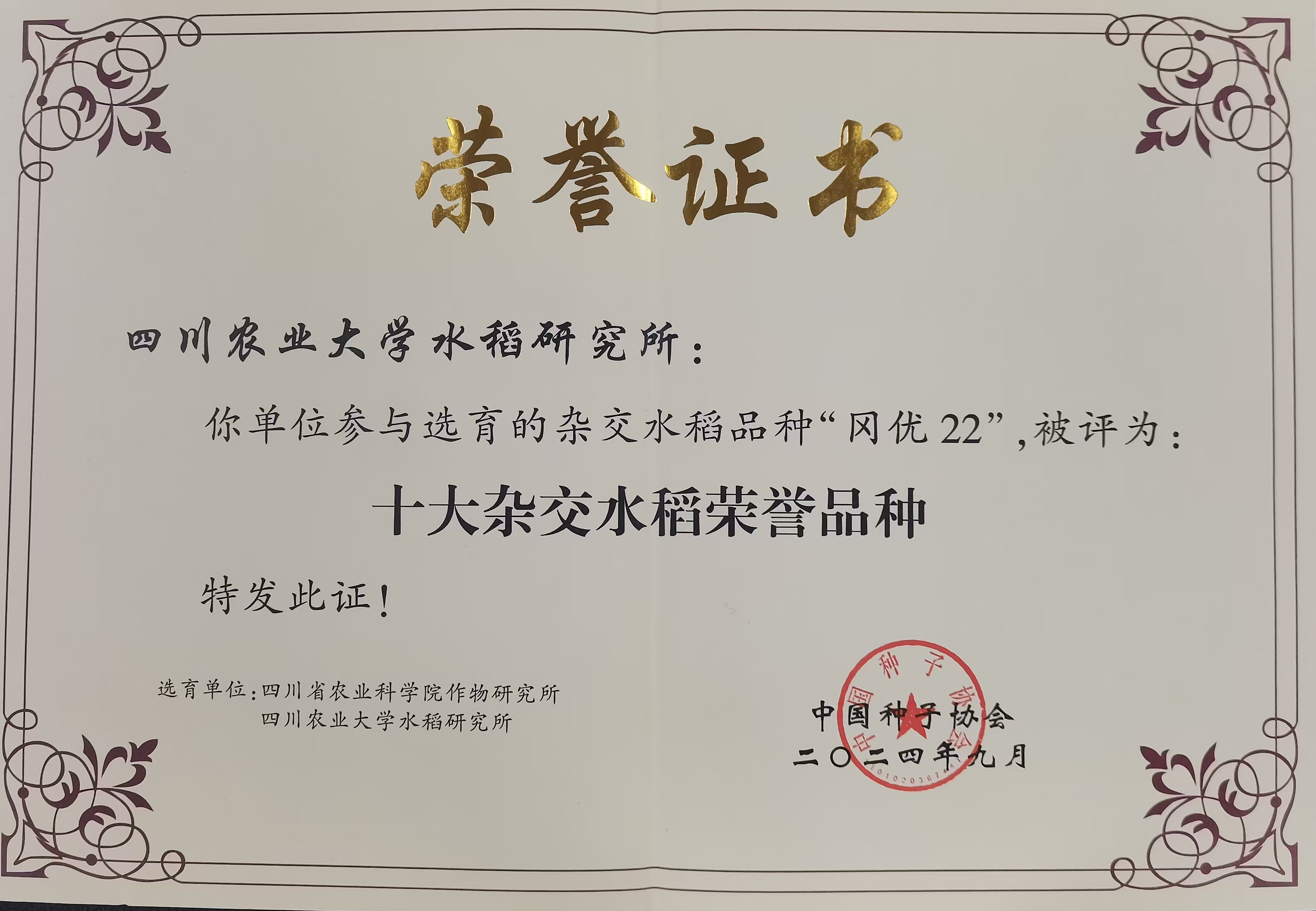 全国十大杂交水稻荣誉品种冈优22（2024年）