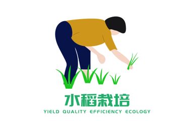 ​水稻栽培研究团队