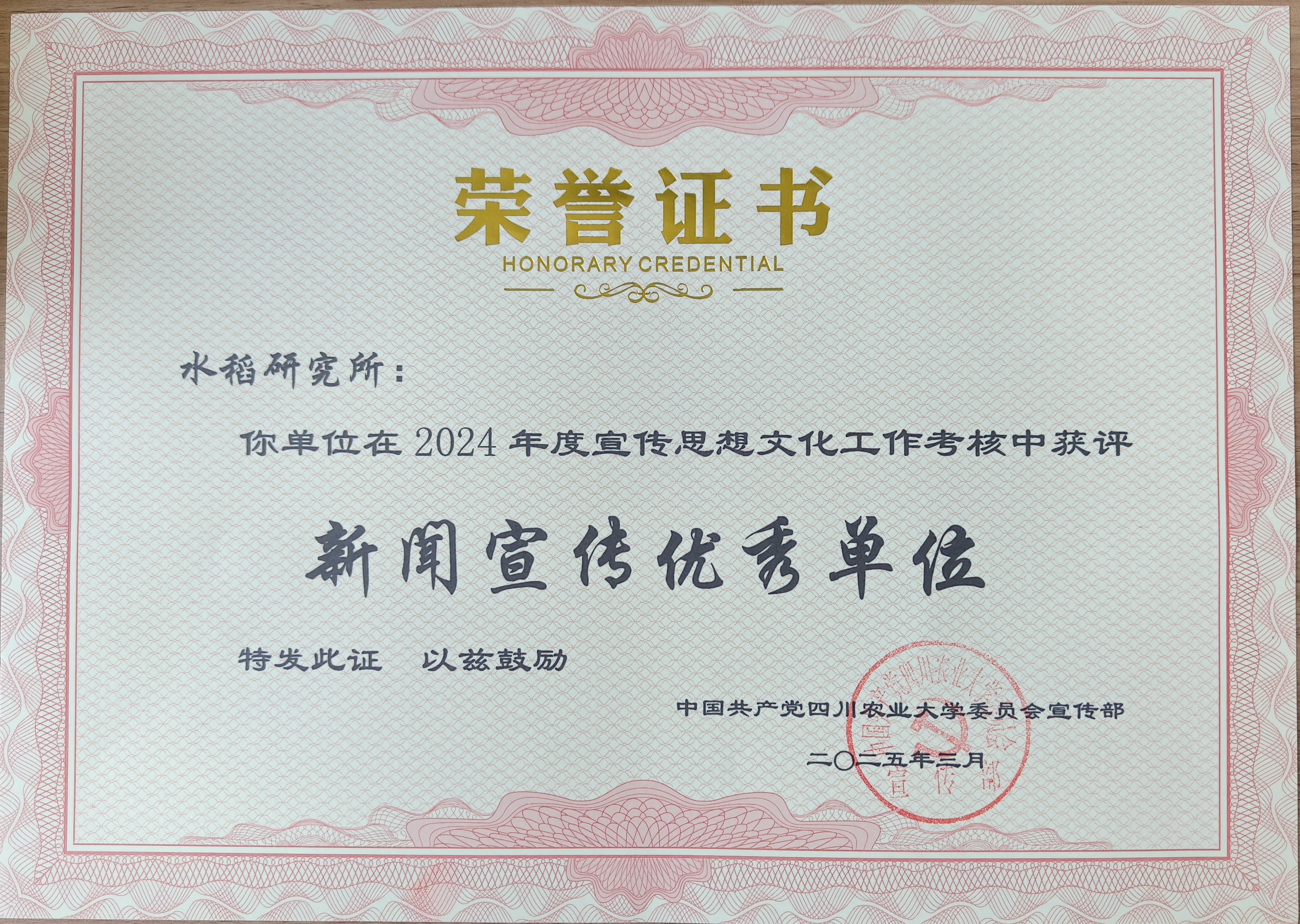 2024年学校新闻宣传优秀单位