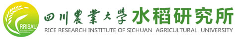 美狮贵宾会官网入口2020